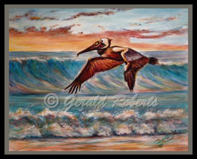 brownpelicaninmatingcolorsweb