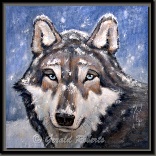 DSC05057snowfallonwolf6x6cropa